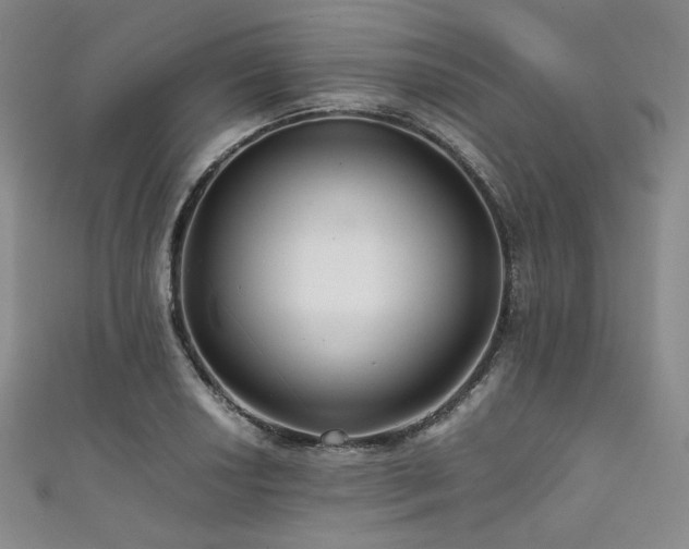 X0000111841034200907231404