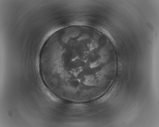 X0000111841035200907231404