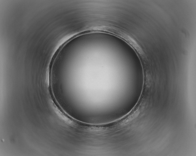 X0000111841036200907231404