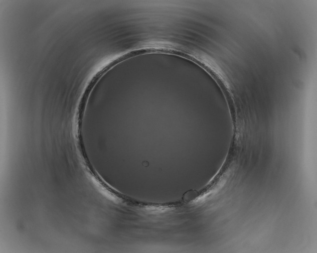 X0000111841037200907231404