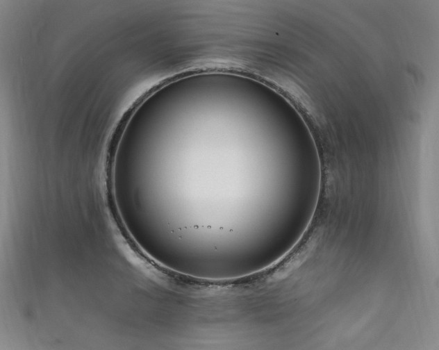 X0000111841038200907231404