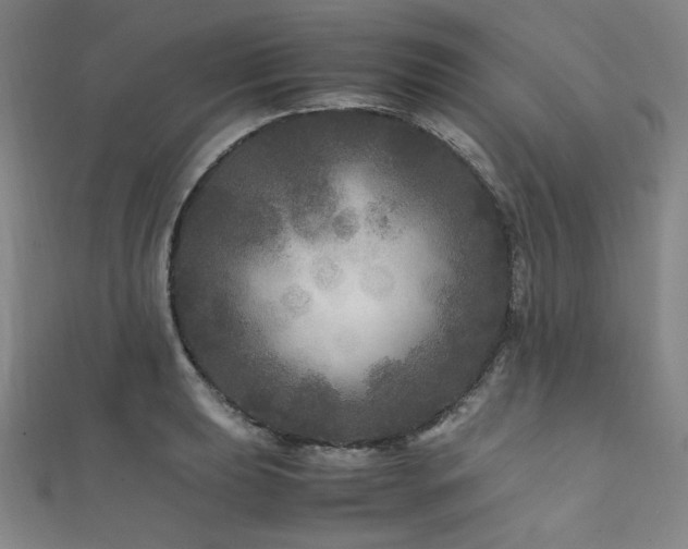 X0000111841039200907231404