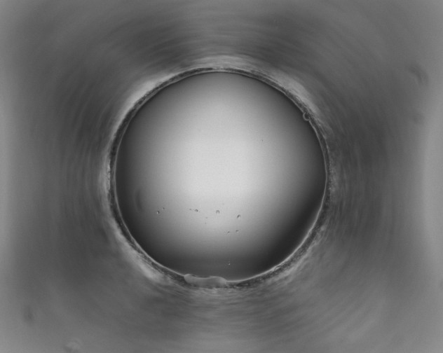 X0000111841040200907231404