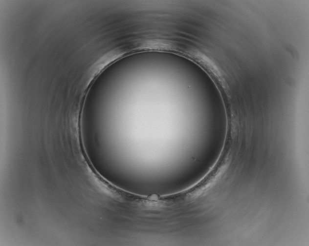 X0000111841041200907231404