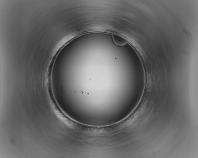 X0000111841042200907231404