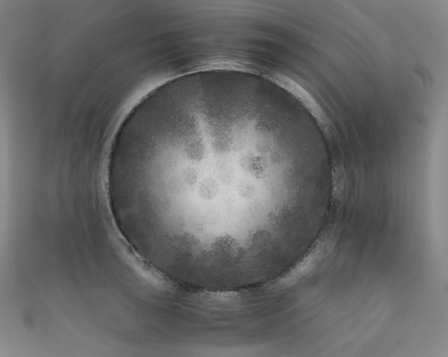 X0000111841043200907231404