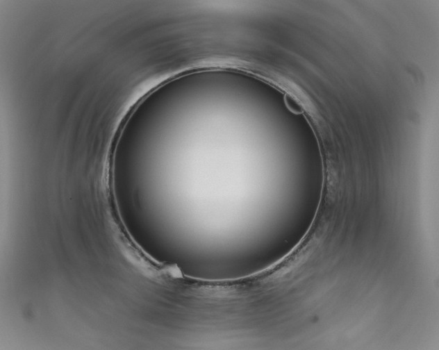 X0000111841044200907231404