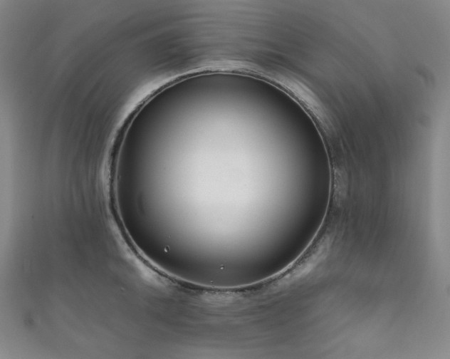 X0000111841046200907231404