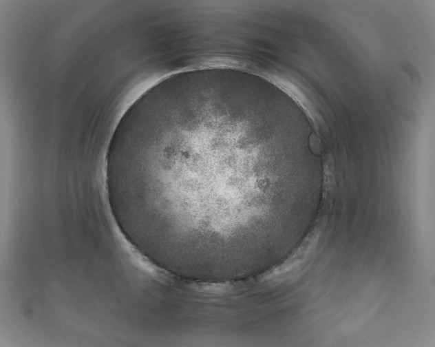 X0000111841047200907231404