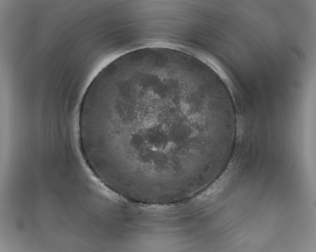 X0000111841048200907231404