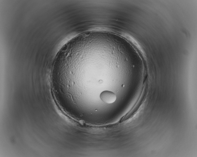 X0000111841049200907231404