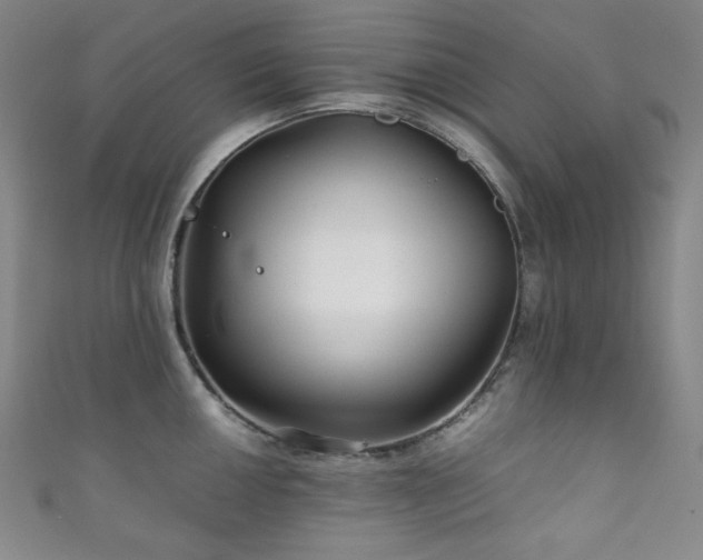 X0000111841050200907231404