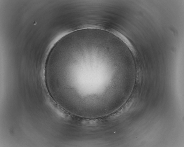 X0000111841051200907231404