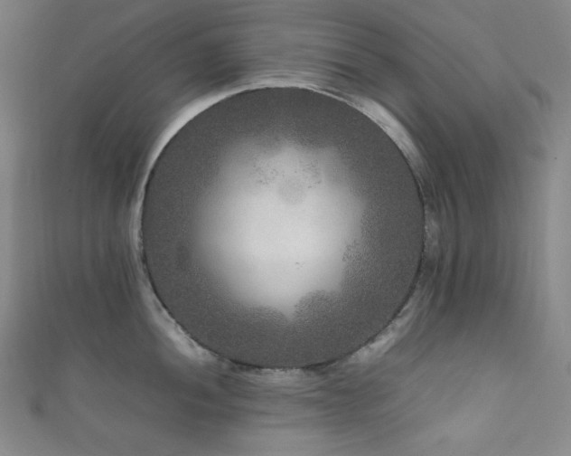 X0000111841052200907231404