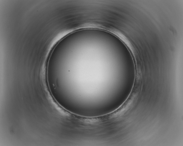 X0000111841053200907231404