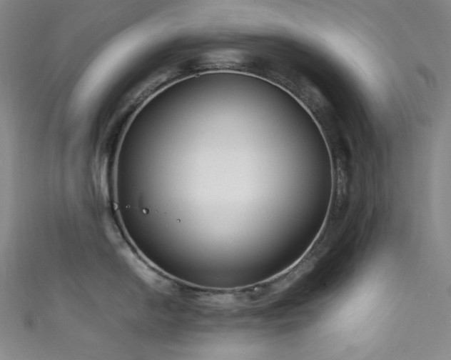 X0000111841054200907231404