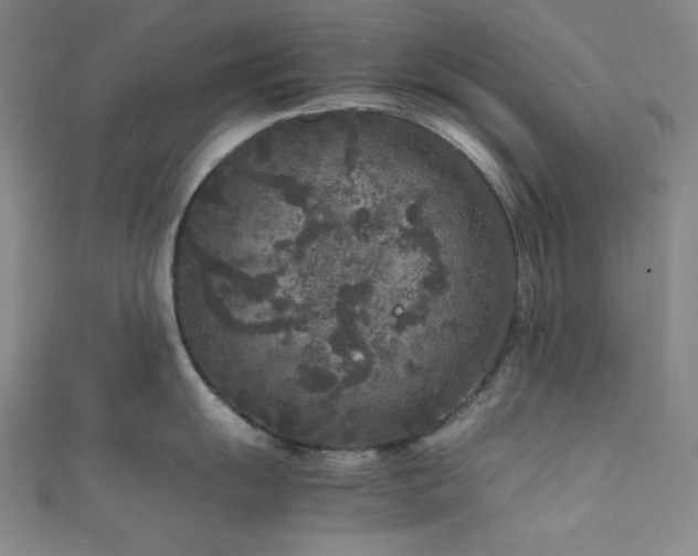 X0000111841055200907231404