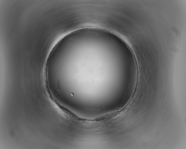 X0000111841056200907231404