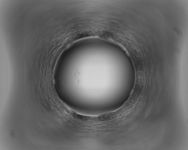 X0000111841057200907231403