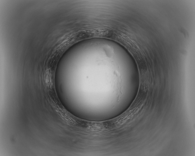 X0000111841058200907231403