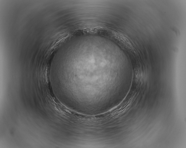 X0000111841060200907231403