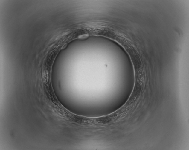 X0000111841061200907231403