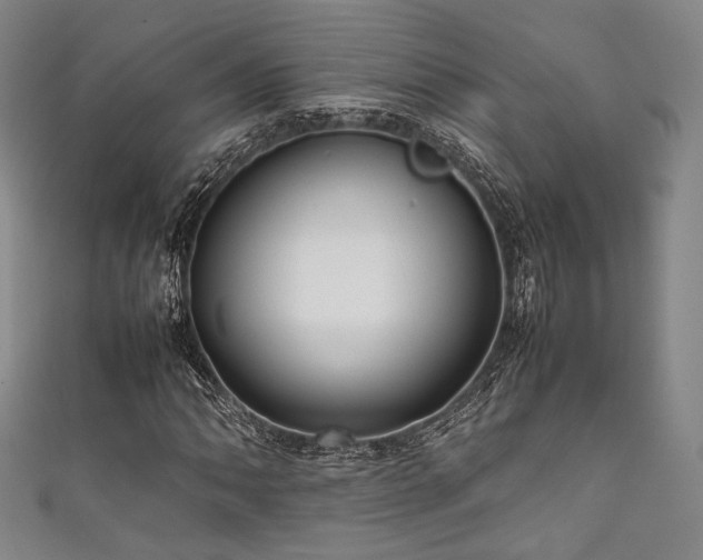 X0000111841062200907231403