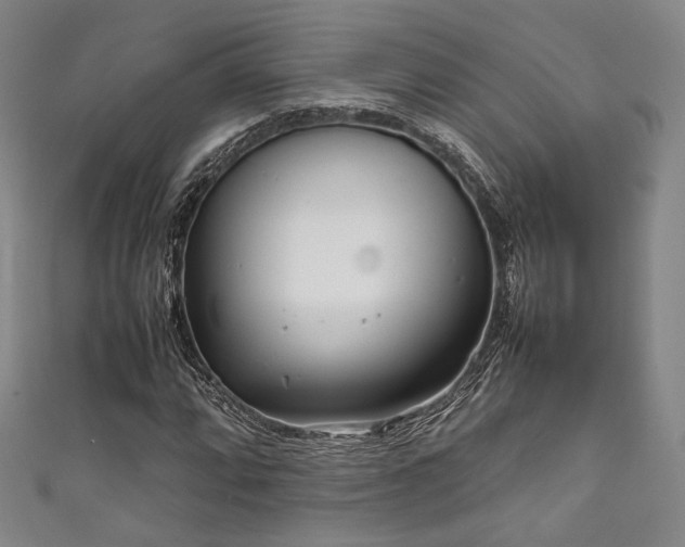 X0000111841064200907231403