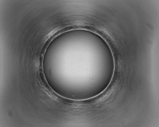 X0000111841065200907231403
