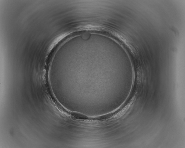 X0000111841066200907231403