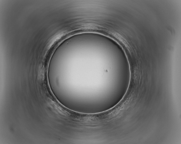 X0000111841067200907231403