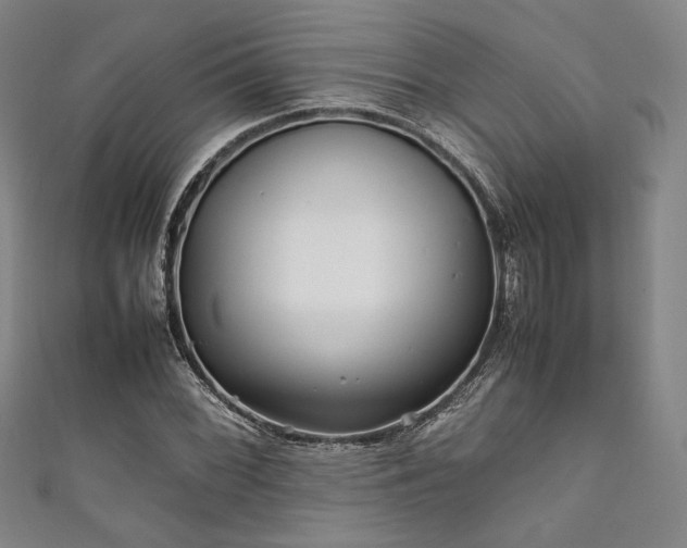 X0000111841068200907231403