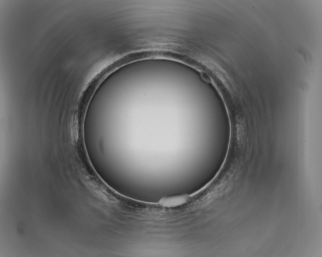 X0000111841069200907231403