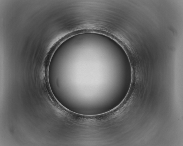 X0000111841070200907231403