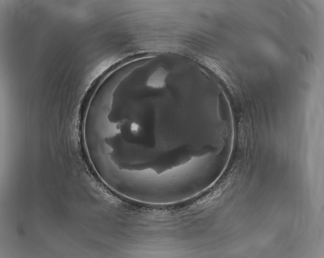 X0000111841071200907231403