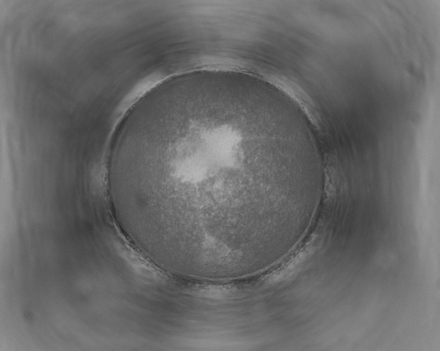 X0000111841074200907231403