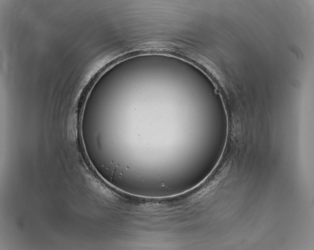 X0000111841075200907231403