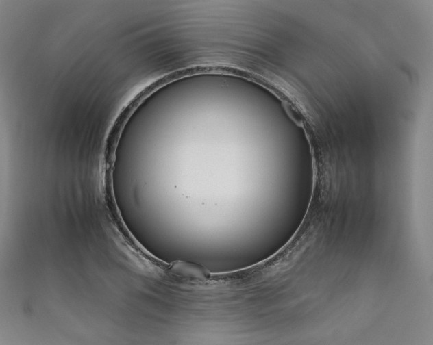 X0000111841076200907231403