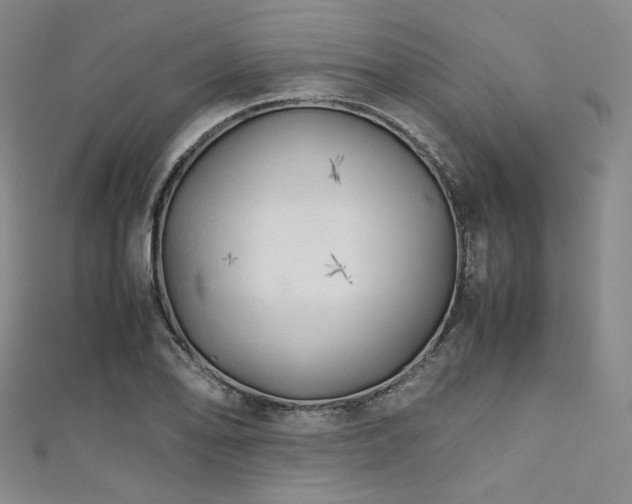 X0000111841078200907231403