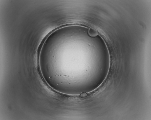 X0000111841079200907231403