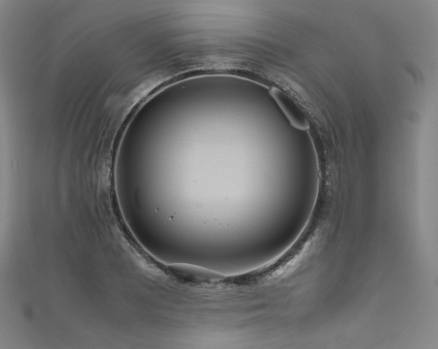 X0000111841081200907231403