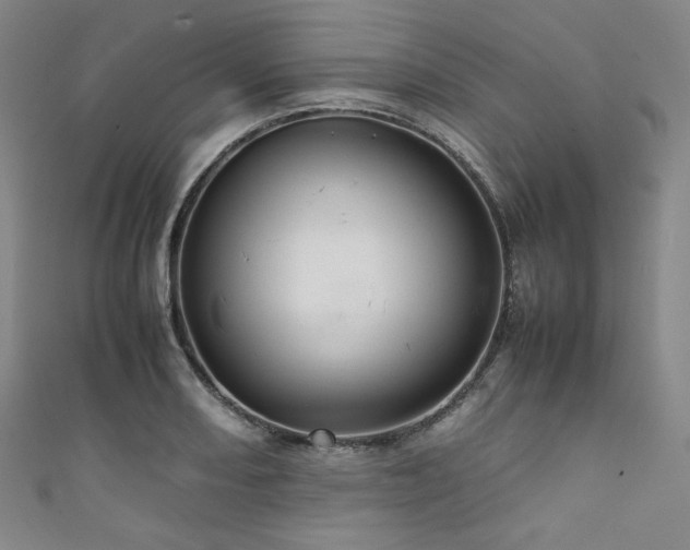 X0000111841082200907231403