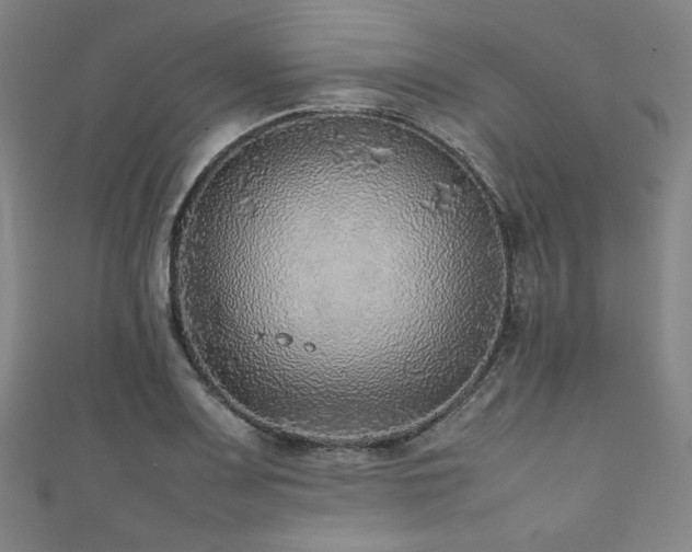 X0000111841083200907231403