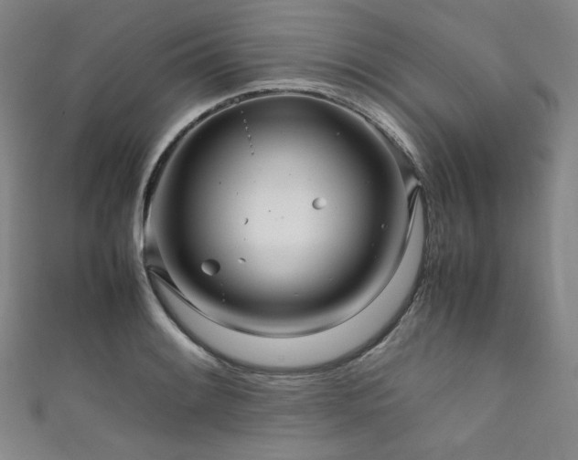 X0000111841084200907231403