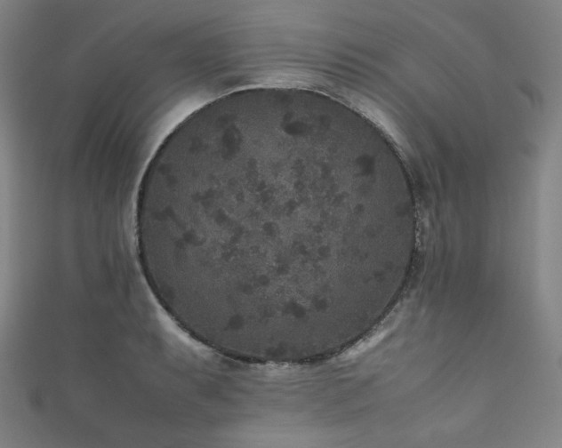 X0000111841087200907231403
