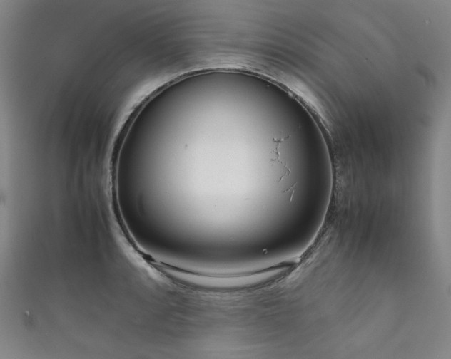 X0000111841088200907231403