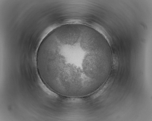 X0000111841090200907231403