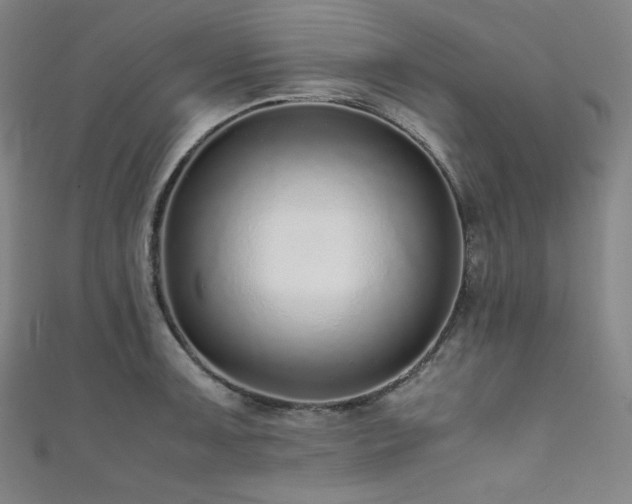 X0000111841091200907231403