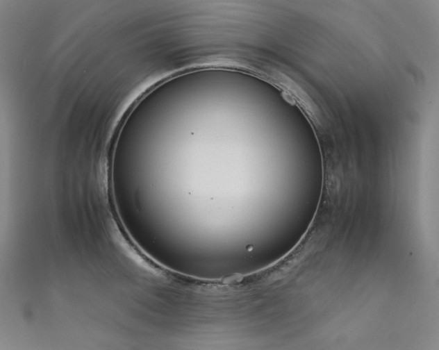 X0000111841092200907231403
