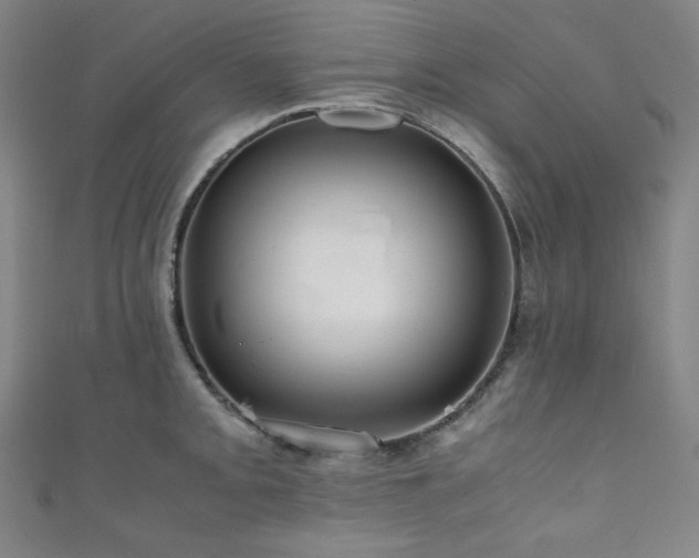 X0000111841093200907231403